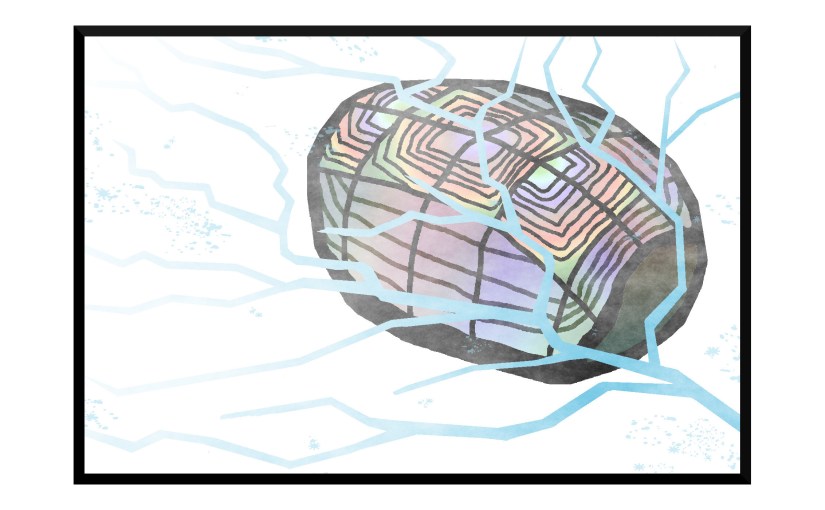 Illustration: rainbow-patterned turtle shell beneath lake ice