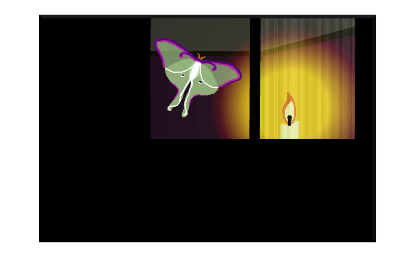 Illustration: luna moth drawn to candle in room