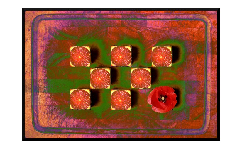Illustration: cutting board with square oranges and one poppy
