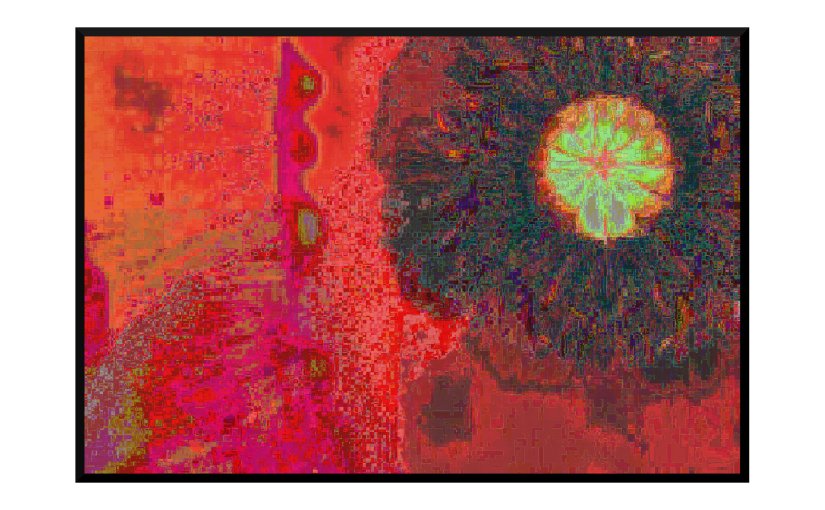 Illustration: poppy closeup