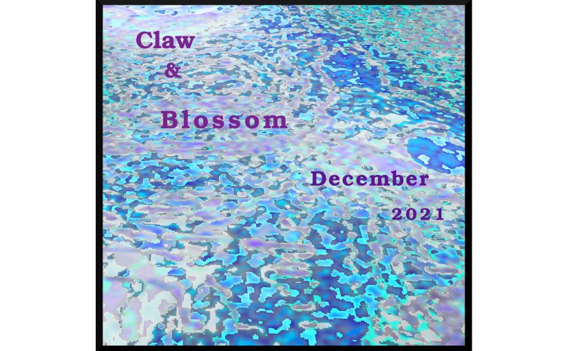 Illustration: photo of brain coral digitally manipulated to resemble glimmering icy waterway