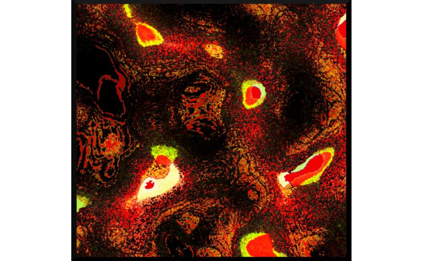 Illustration: photo of brain coral digitally manipulated to resemble close-up on molten lava